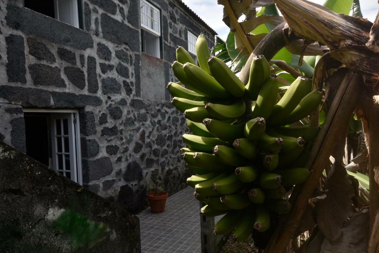 Adega Do Gato Hotel Calhau Kültér fotó